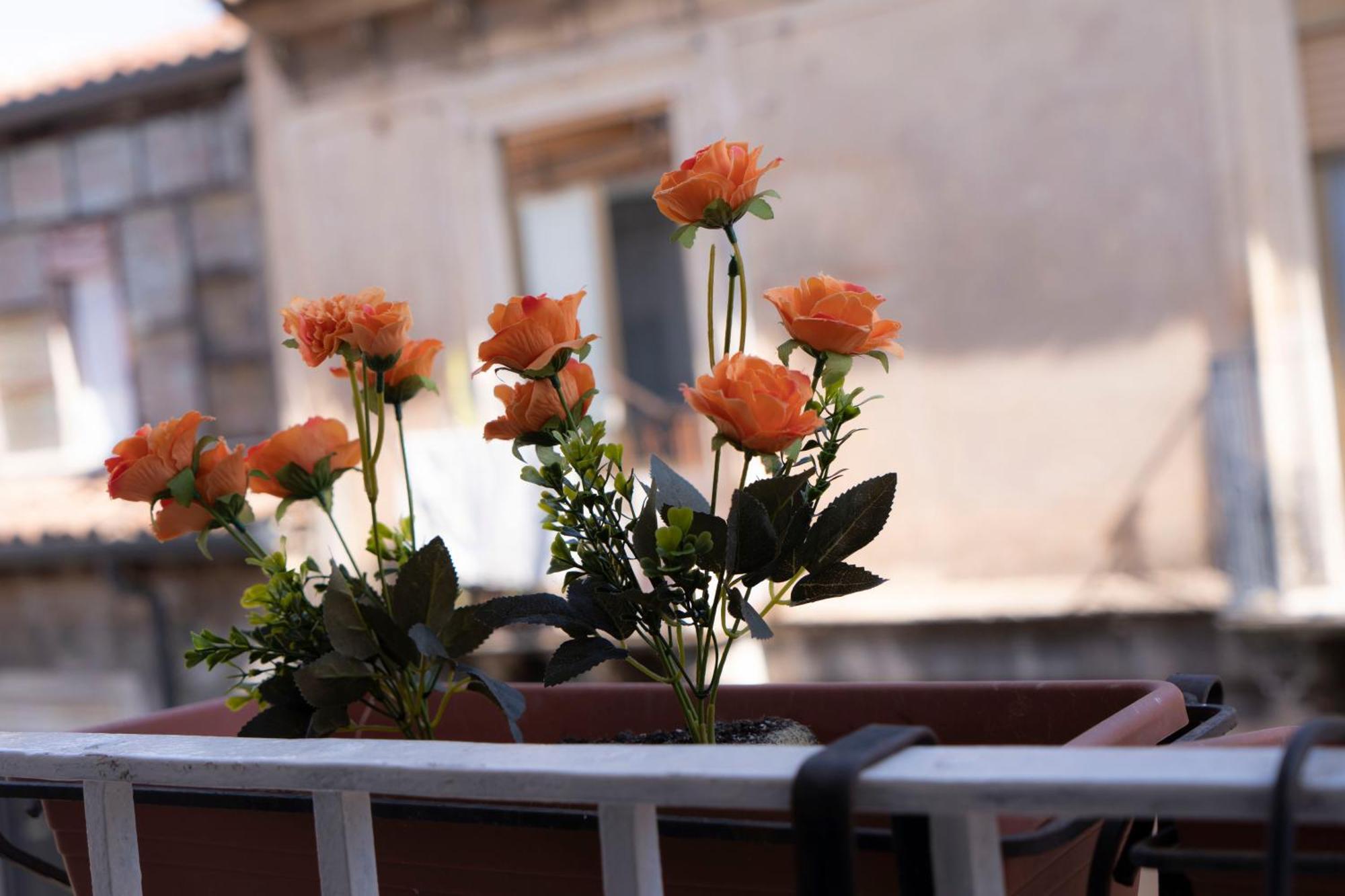 Etna Timeo Central Apartment In Baroque Building Catania Luaran gambar